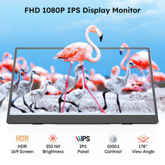 15.6" Portable Monitor for Laptop – FHD 1080P IPS USB-C Travel Screen Extender with Foldable Stand & Case